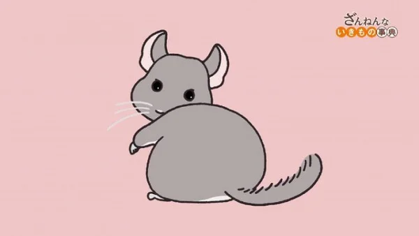 Энциклопедия жалких созданий 3 - главный постер