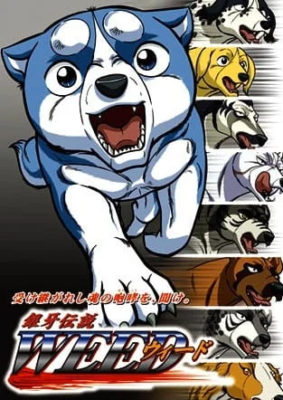 Легенда о Серебряном Клыке Уиде - главный постер