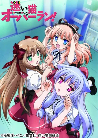 Нашествие бродячих кошек! - главный постер