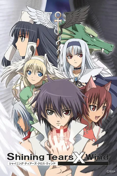 Сверкающие слёзы и ветер - главный постер