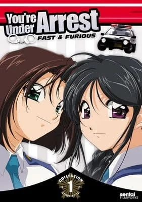 Вы арестованы! 2 - главный постер